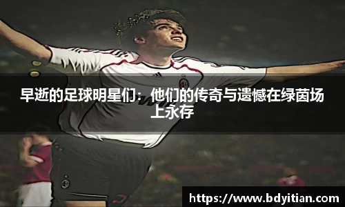 yy体育